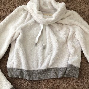 Fuzzy cropped sweater: hollister